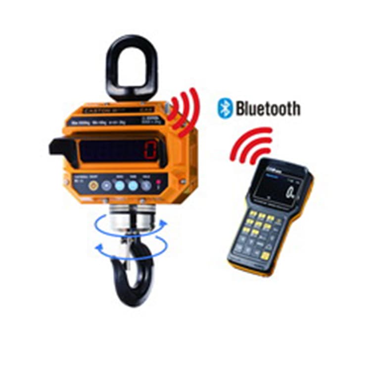 Весы крановые электронные Cas 10THD TWN